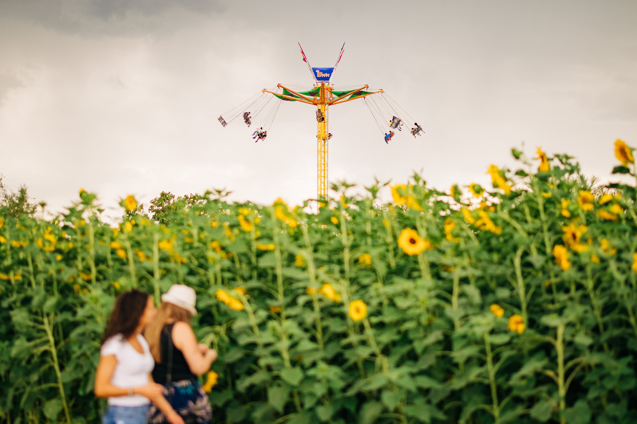 Media gallery — Town of Marana