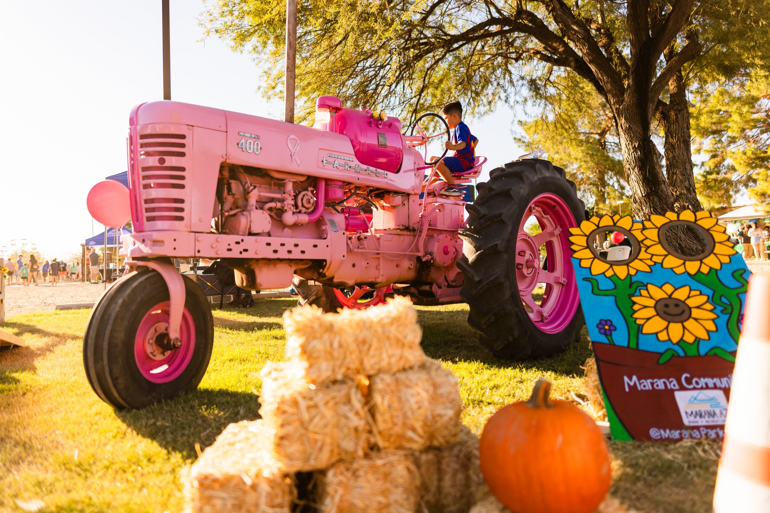  Photo opportunities on a pink tractor 