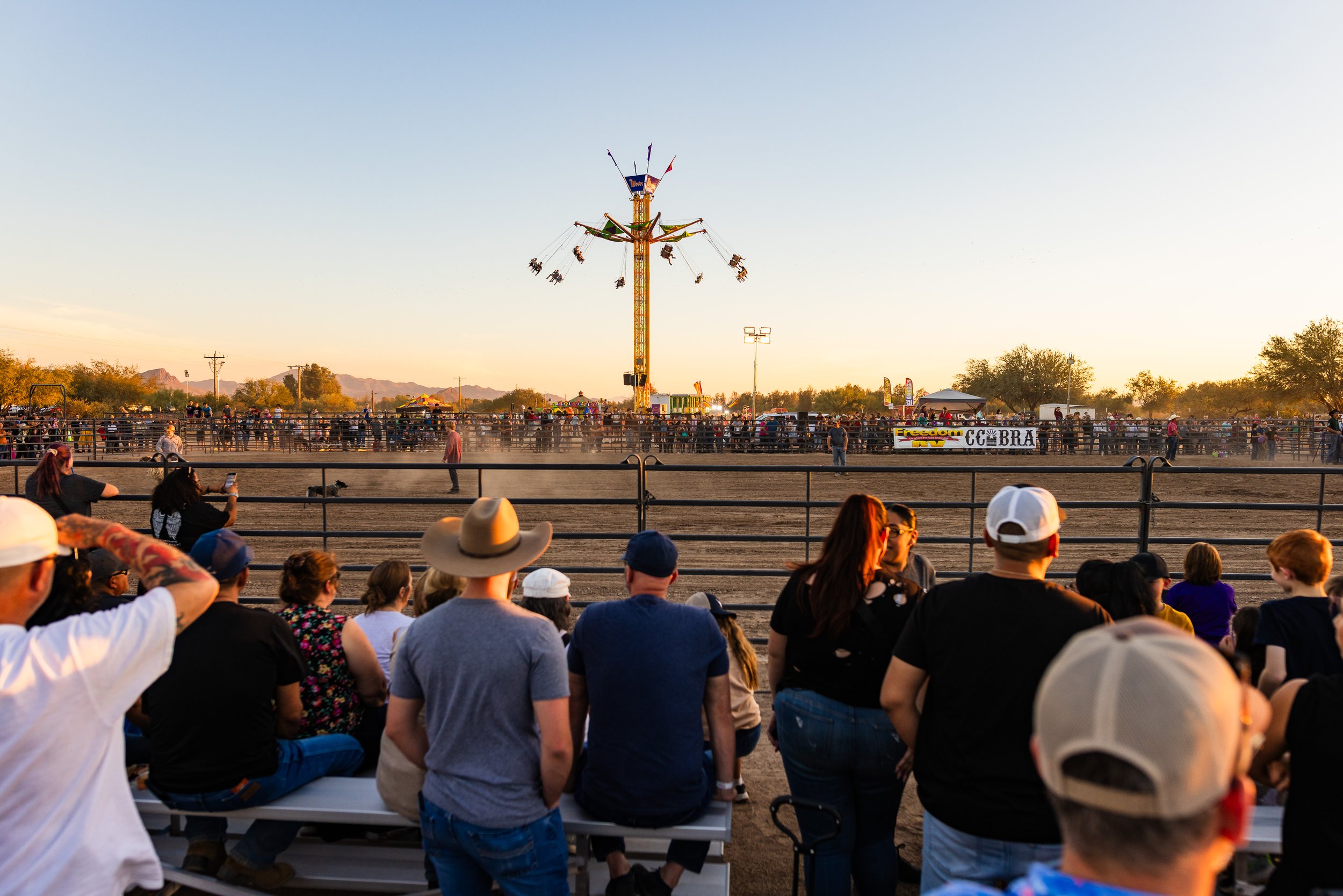  Mutton busting begins 