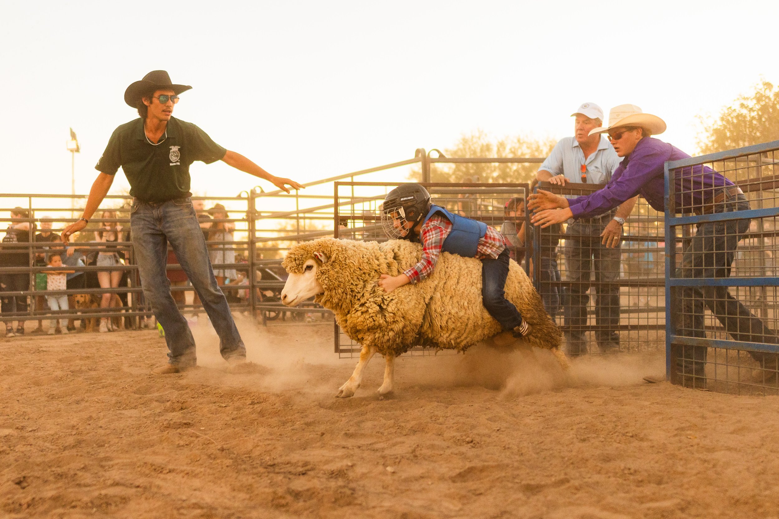  Mutton busting competitor 