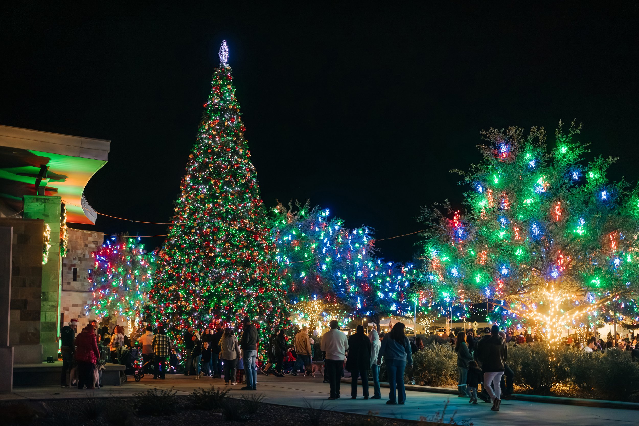 New 45 foot Town of Marana Christmas Tree