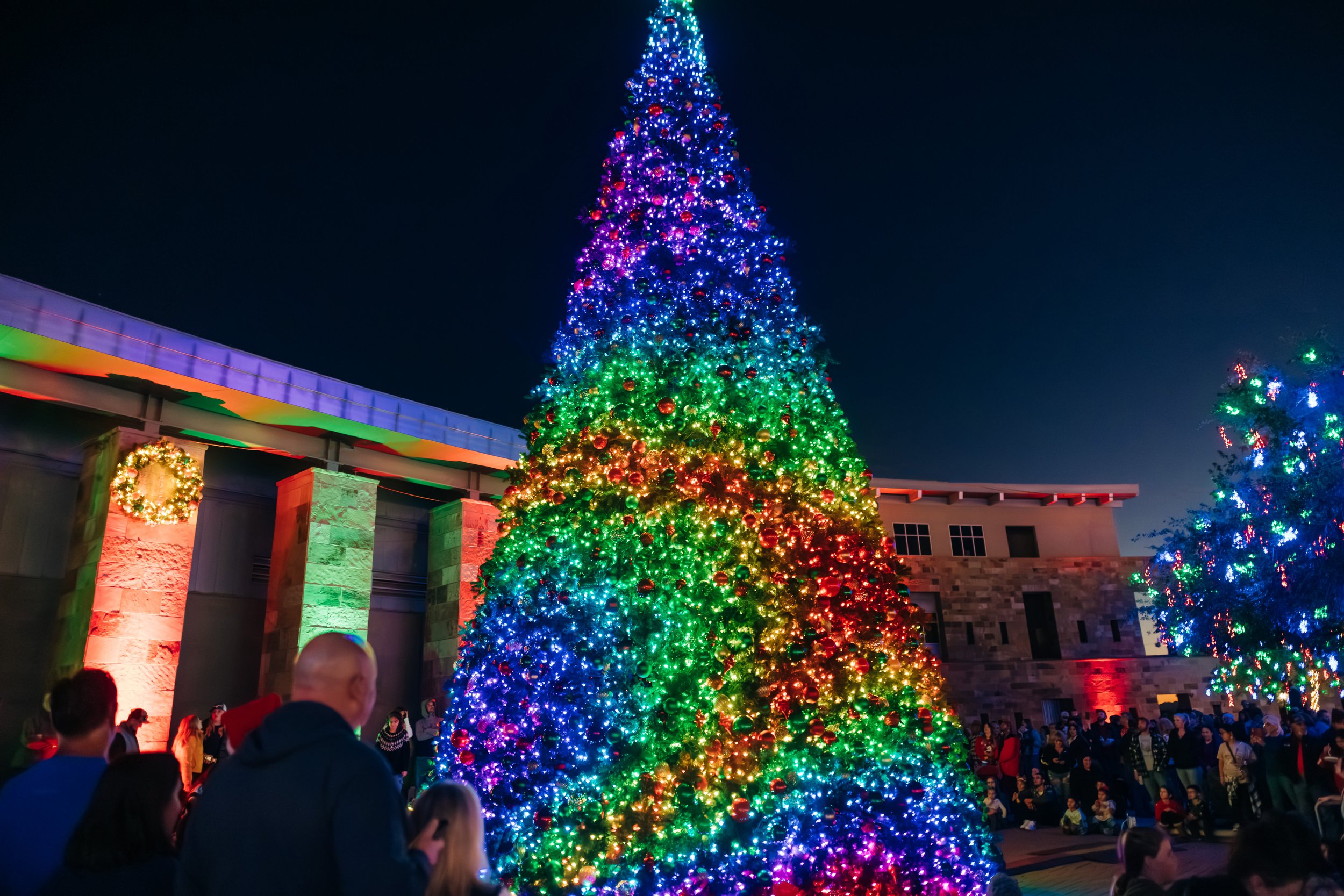Town of Marana Christmas Tree