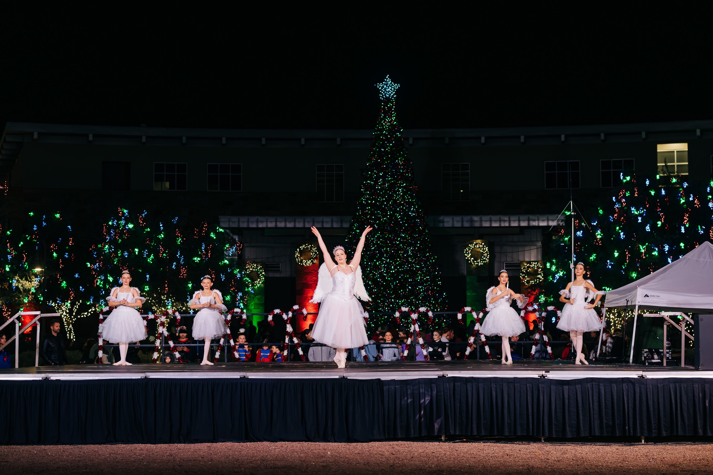 Performers at Holiday Festival