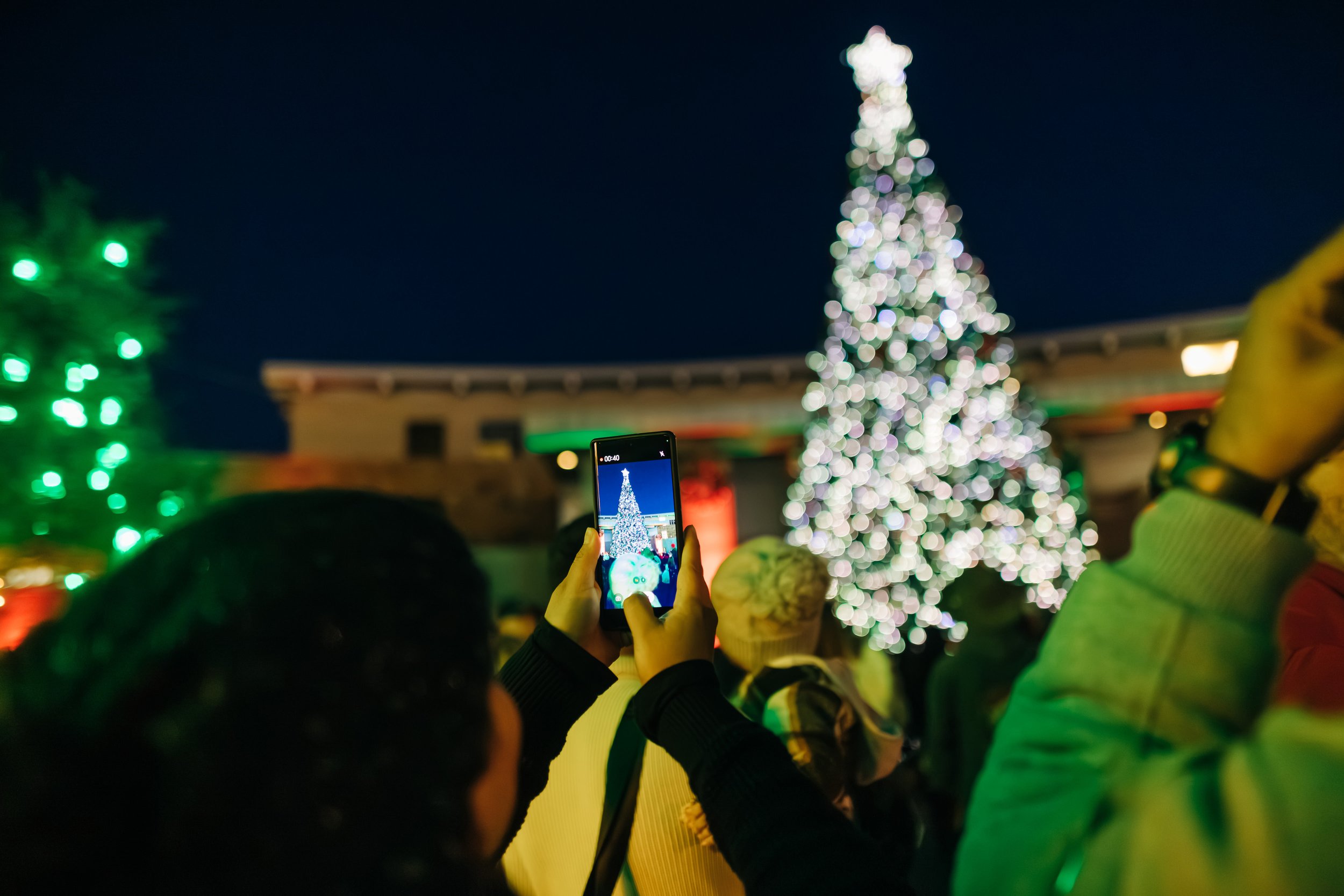 Guest taking photo of Christmas tree