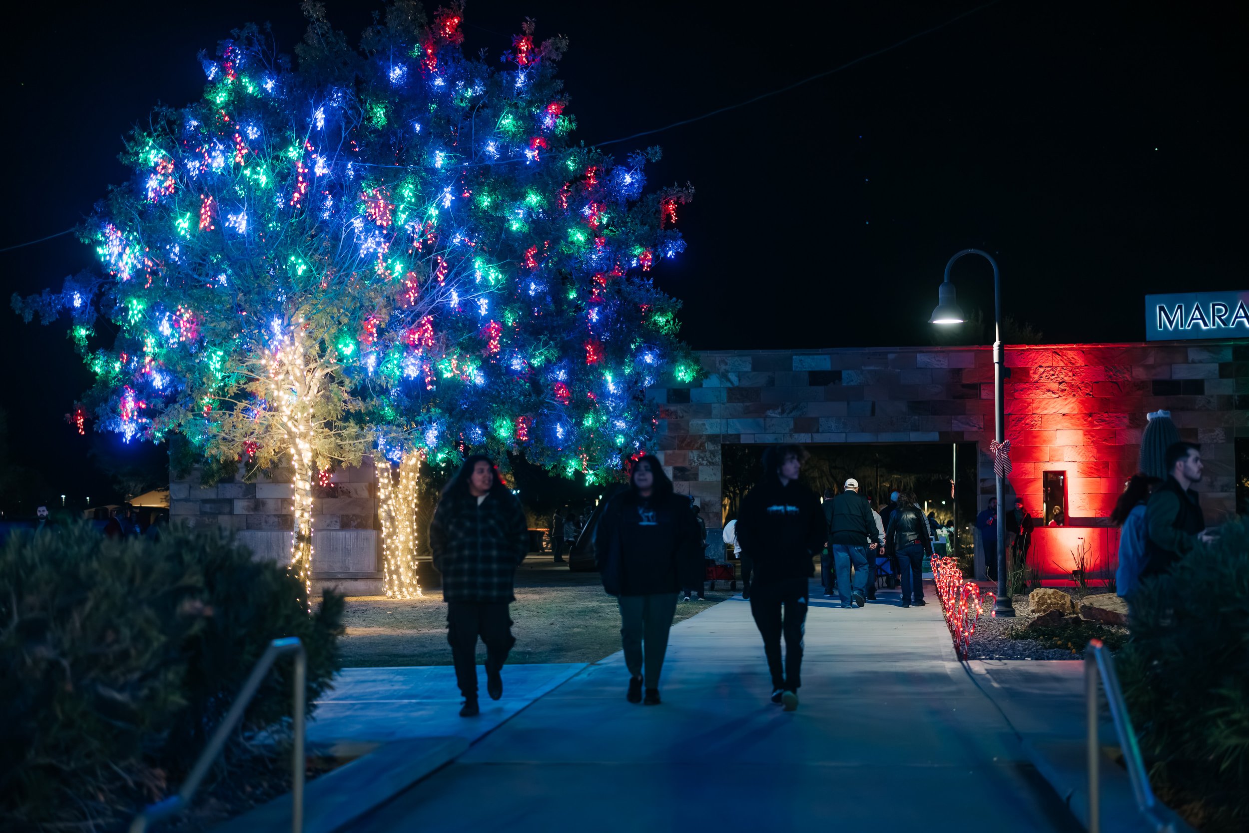 Festive lights in trees