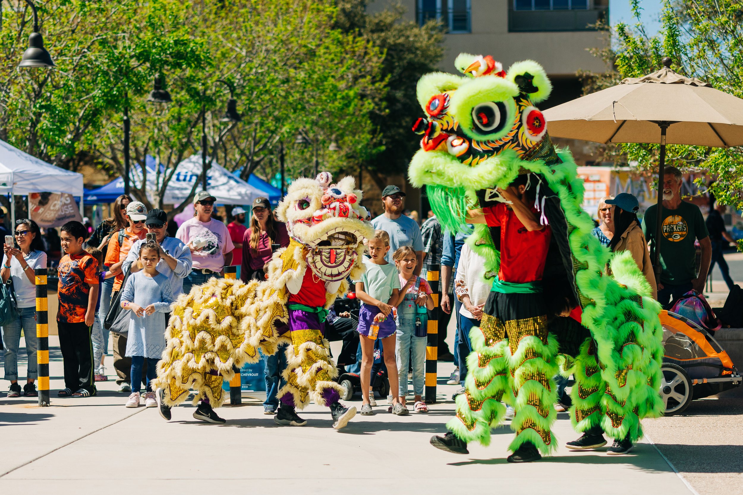Traditional Chinese Lion Dance