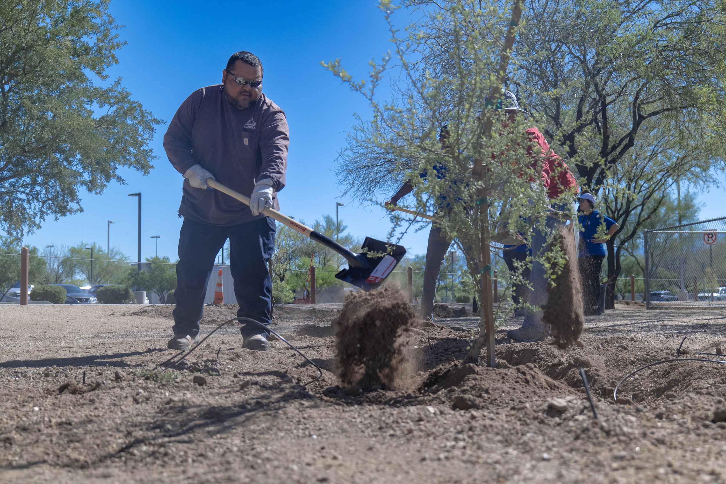 Parks Maintenance staff and volunteers plant trees