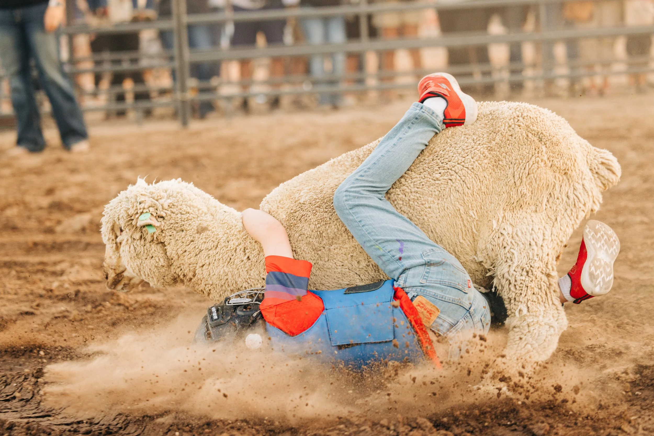 PHOTO GALLERY Marana Fall Festival 2024 — Town of Marana