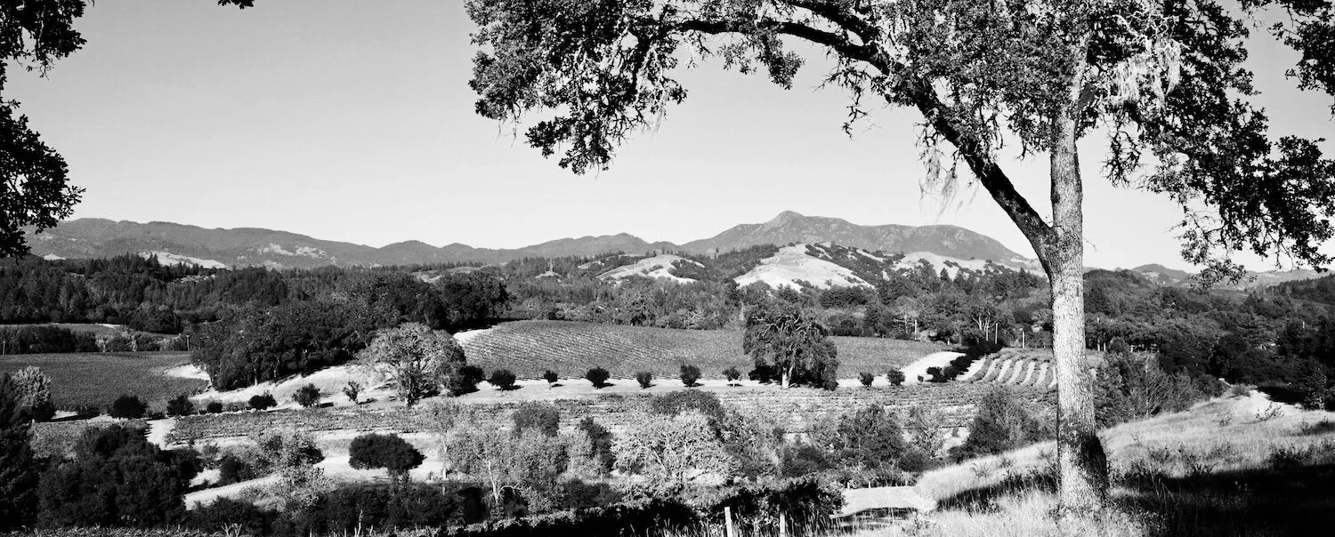 Warnecke Ranch &amp; Vineyard located in the Mayacama Mountains at the Southern end of Alexander Valley, between the Russian River and Chalk Hill Road