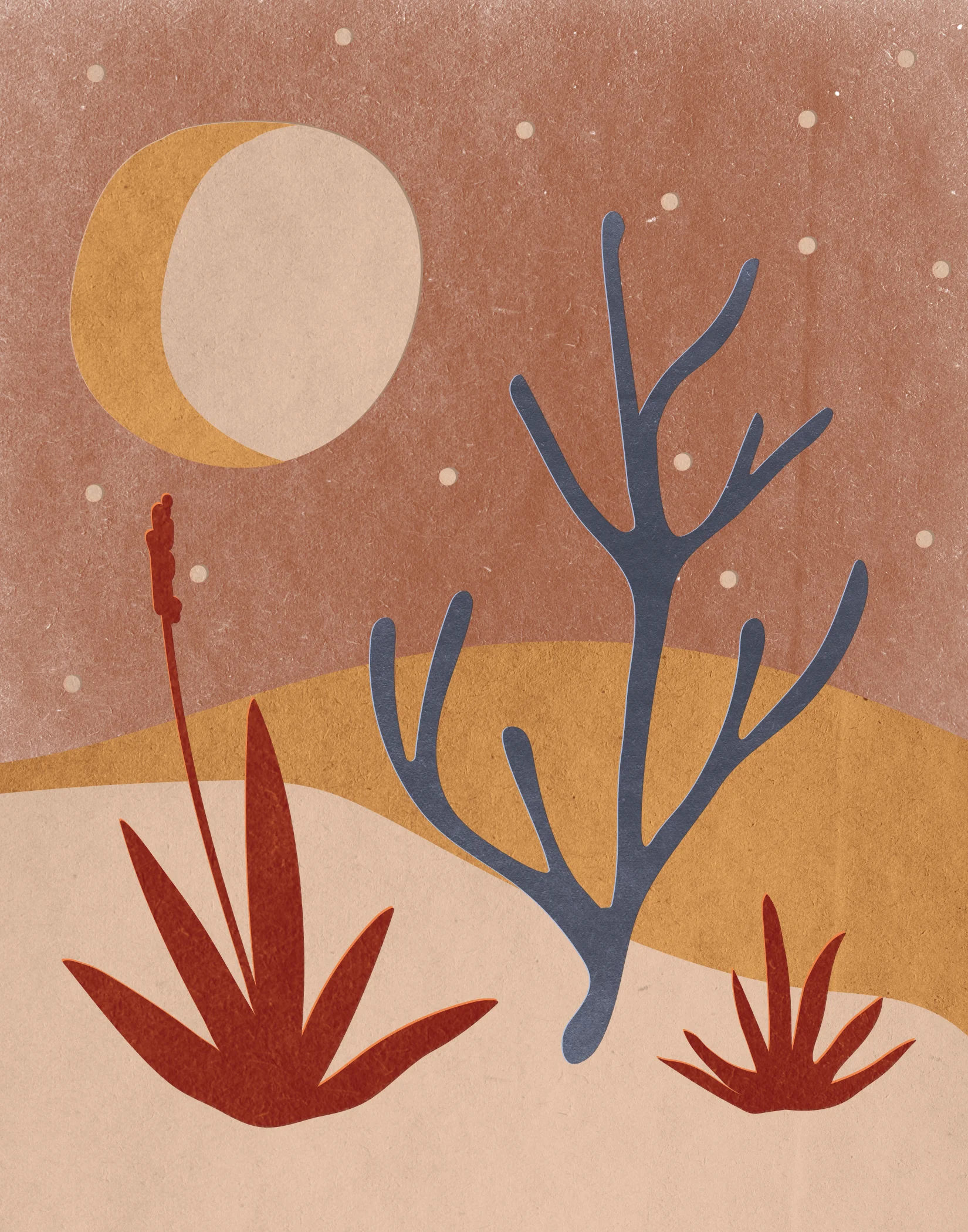 cactus-scape-01.jpg