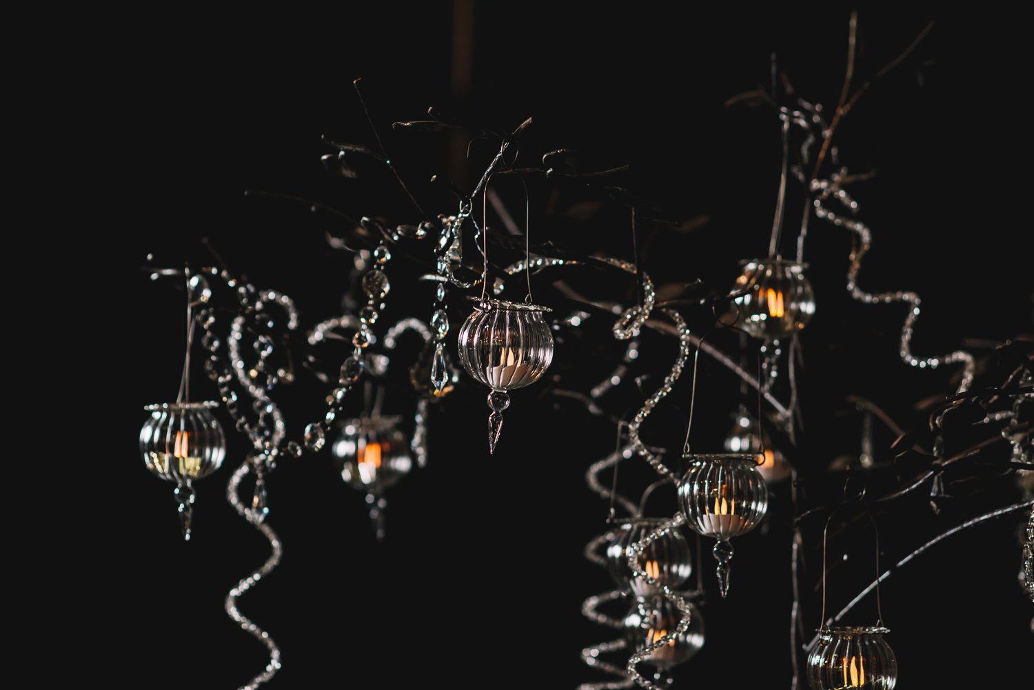 Shannon Gray Photography