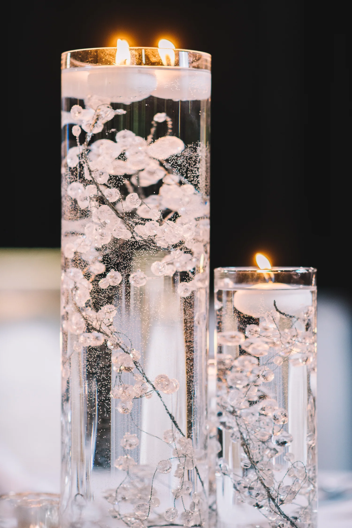 Shannon Gray Photography