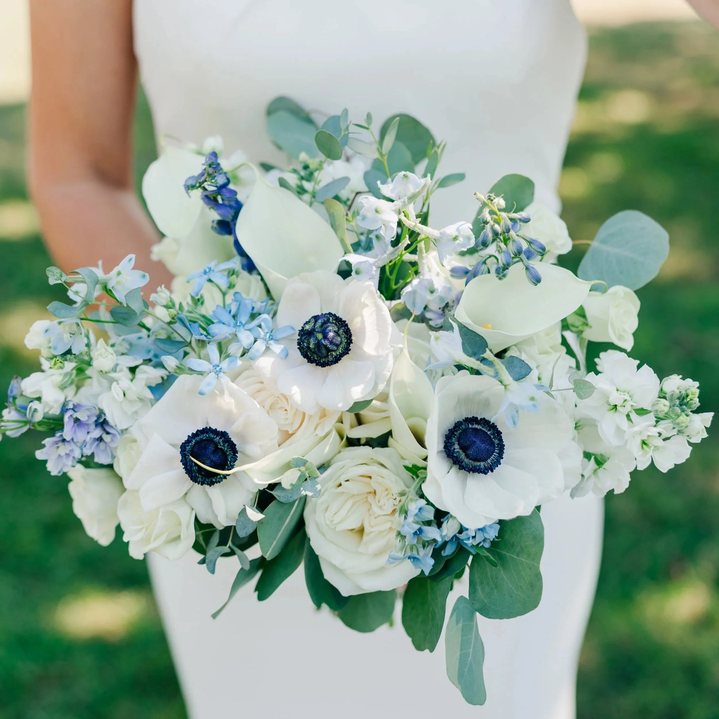 Zoe Evans Photography