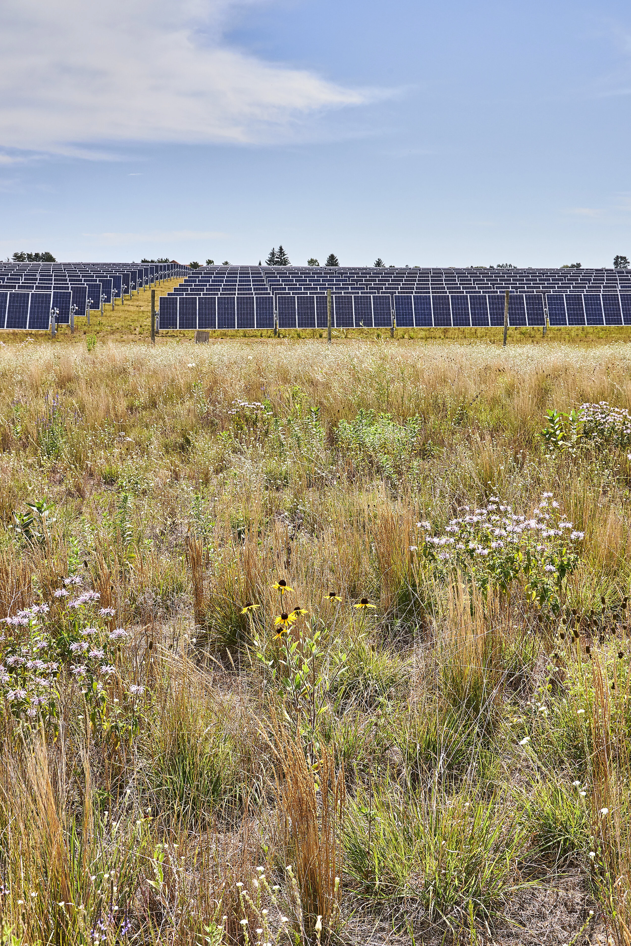 North Star Solar 3.jpg