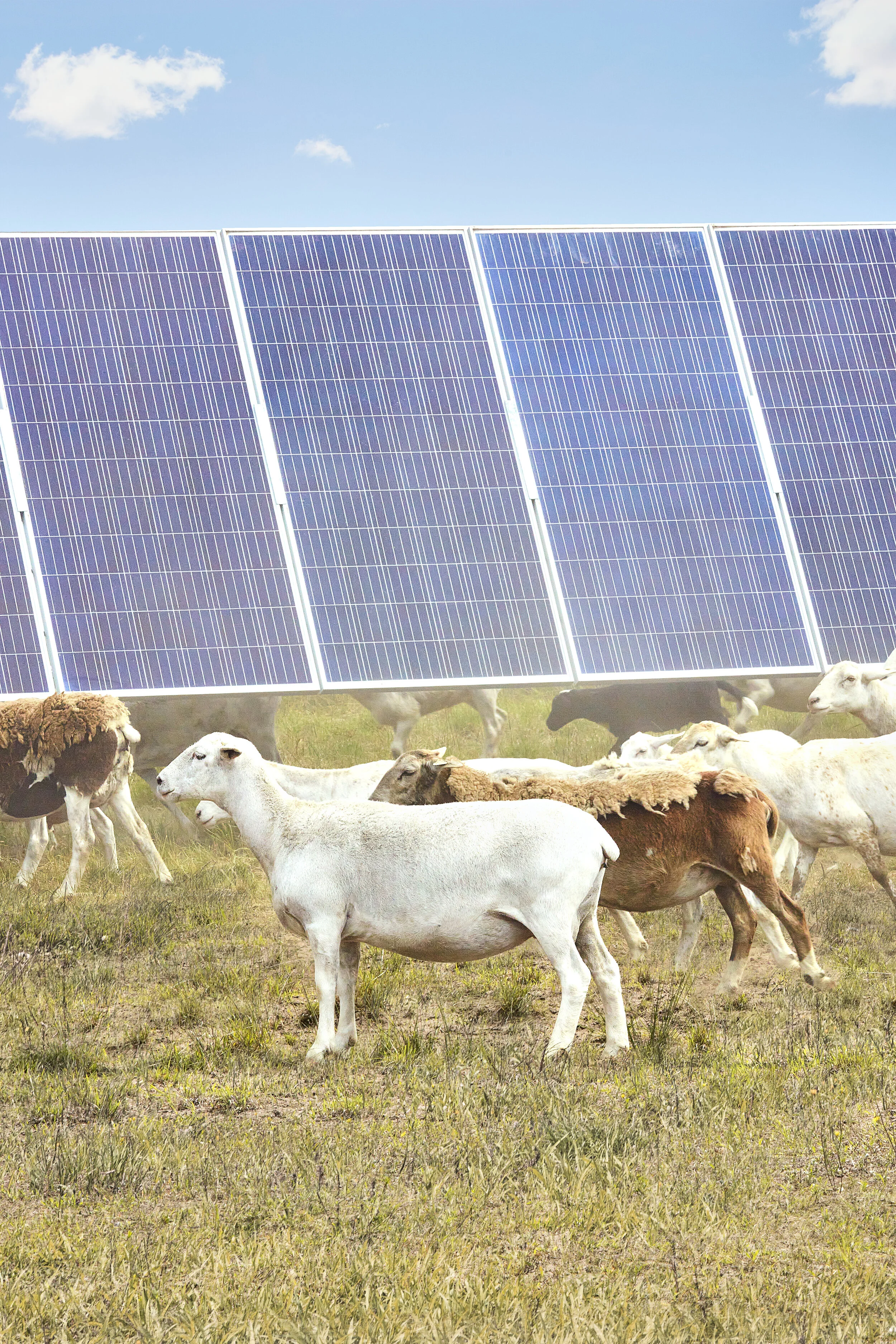 North Star Solar 7.jpg