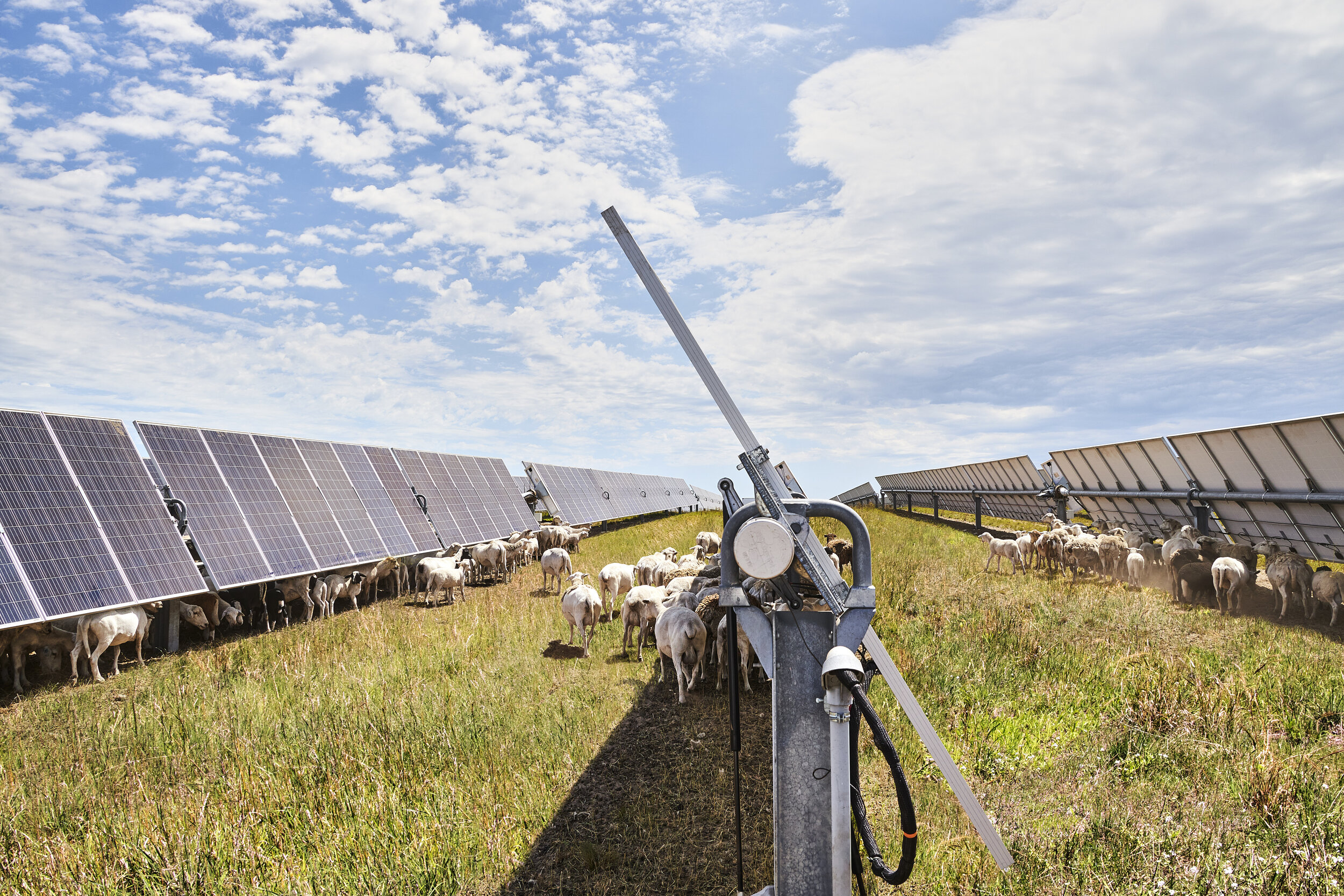 North Star Solar 9.jpg
