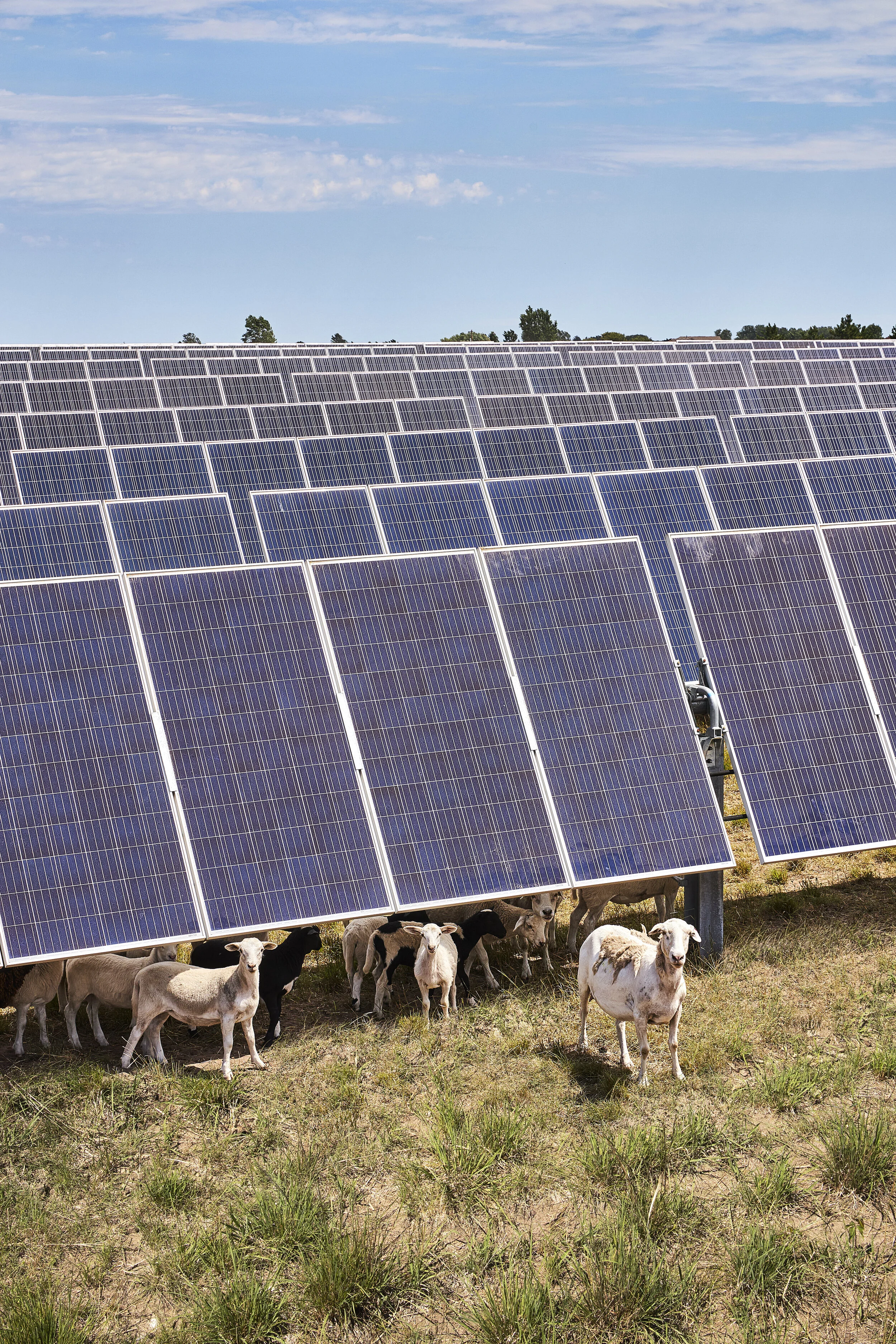 North Star Solar 12.jpg