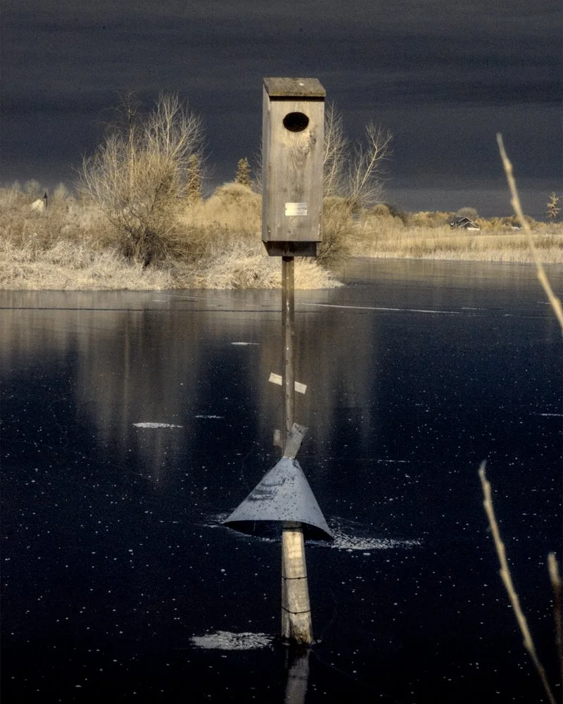 INFRA-7.jpg