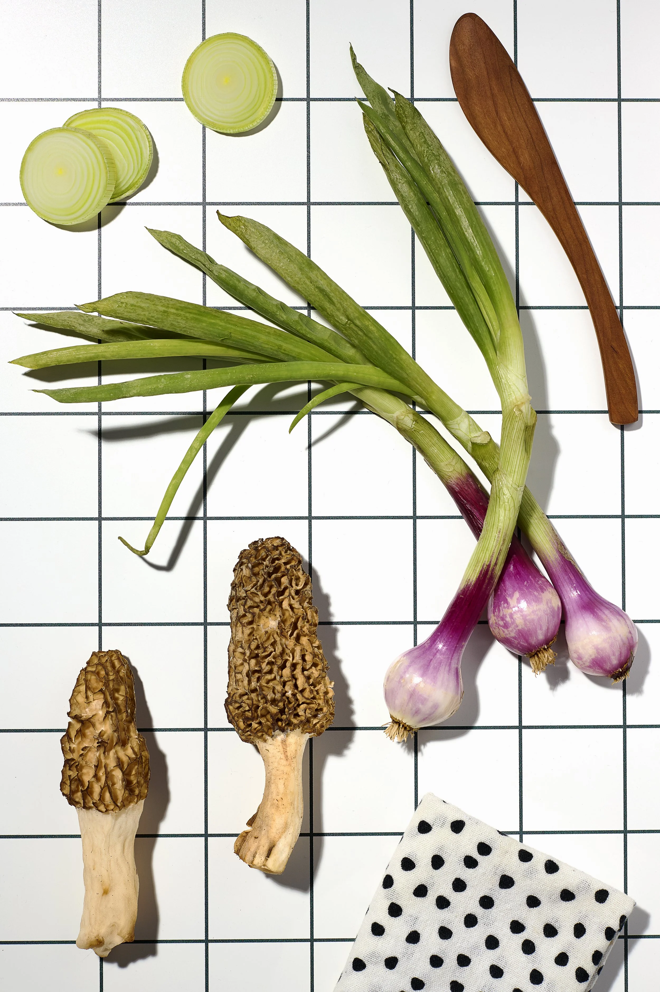 2024_May_NicolasSchaffer_Morels_0454.jpg