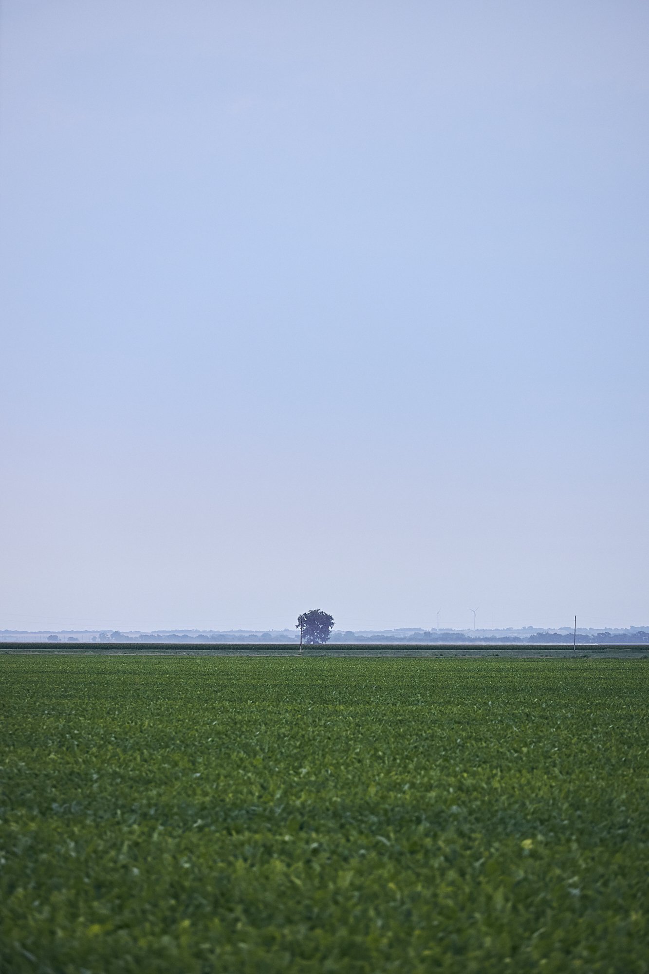 2026_AugustProject_15.jpg