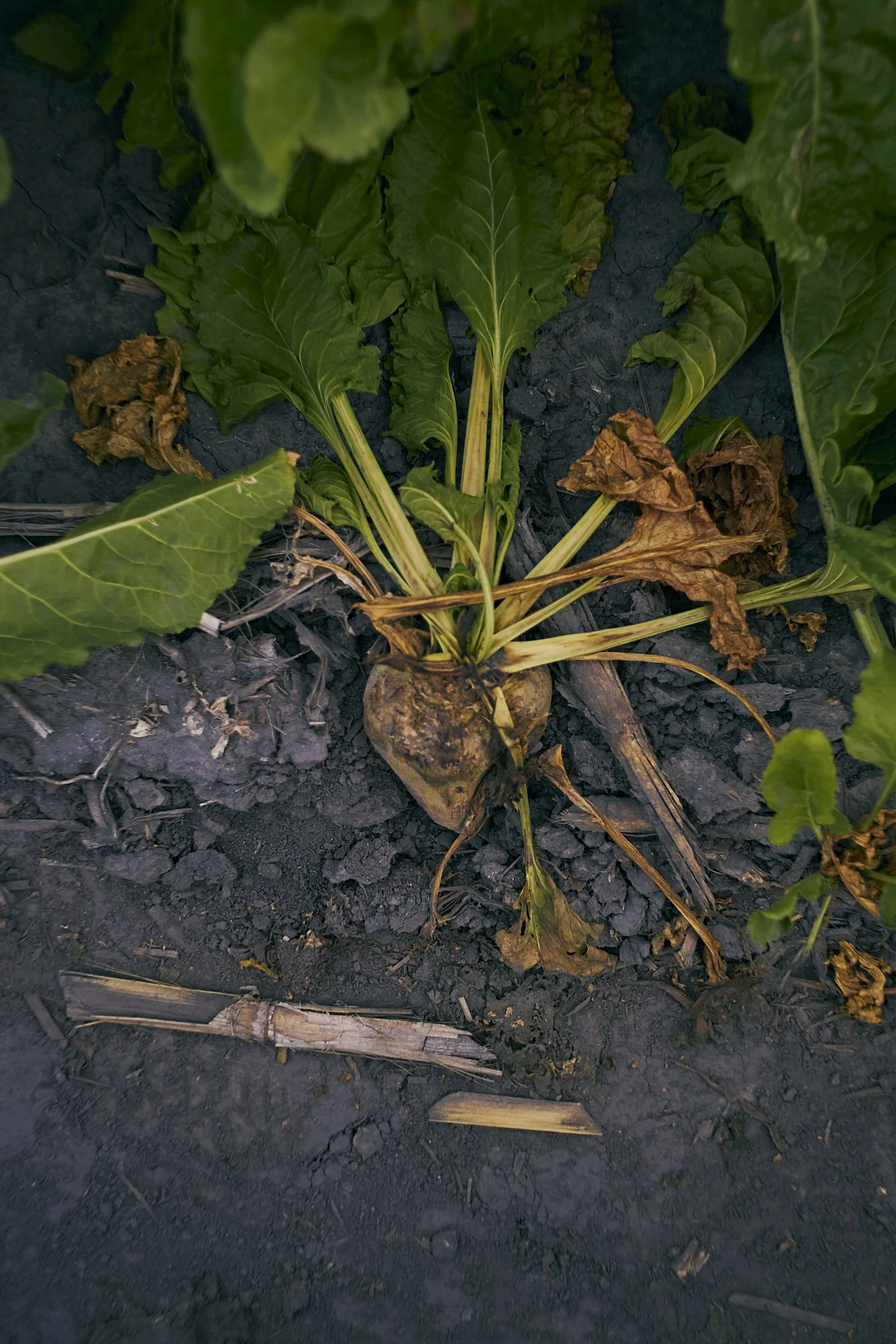 2026_AugustProject_14.jpg
