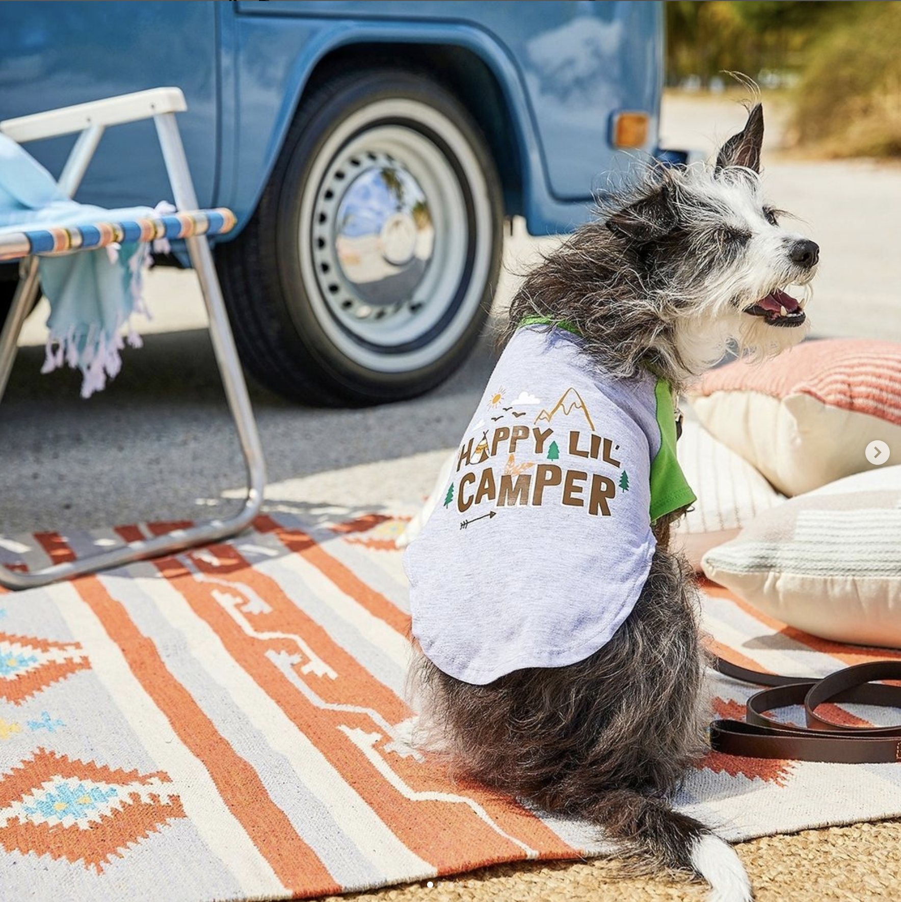 Screen Shot 2022-01-17 at 9.03.34 PM.png