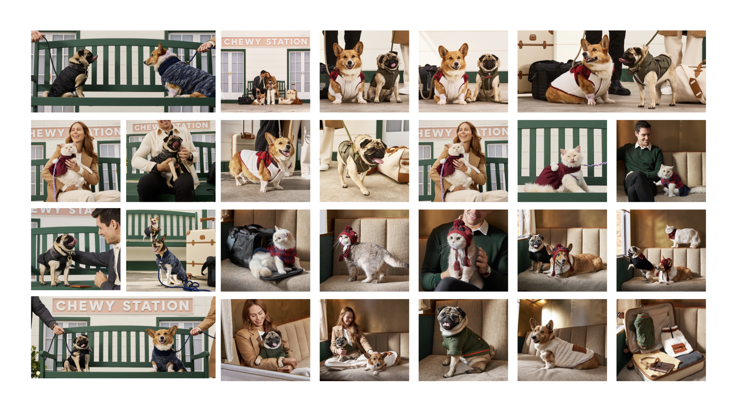 Screen Shot 2022-01-19 at 12.03.36 PM.png