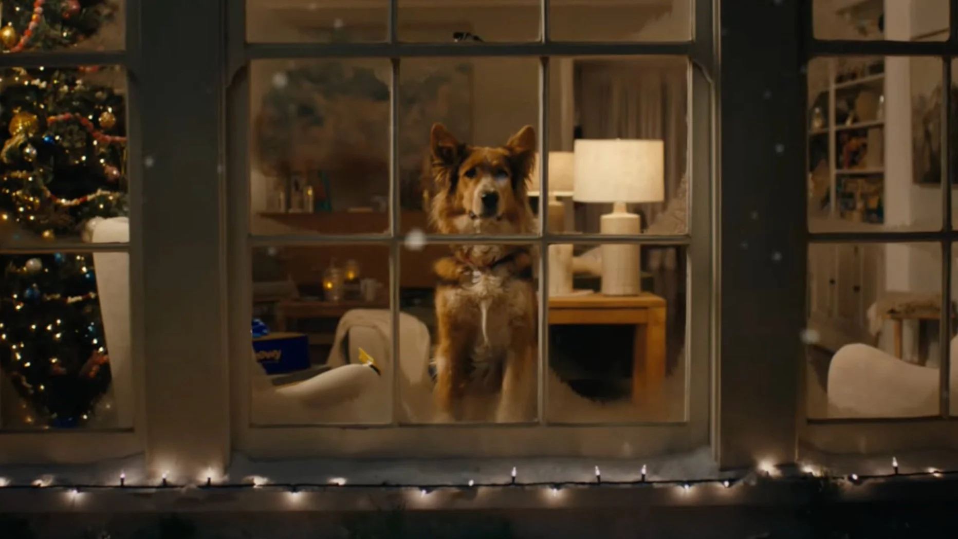 Celebrate the Holiday Moments | Chewy