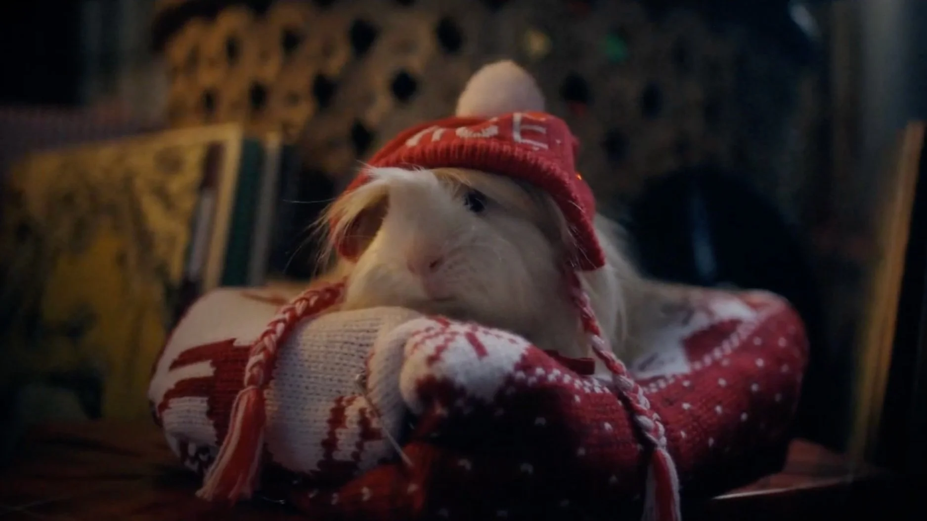 Holiday Traditions | All the Moments