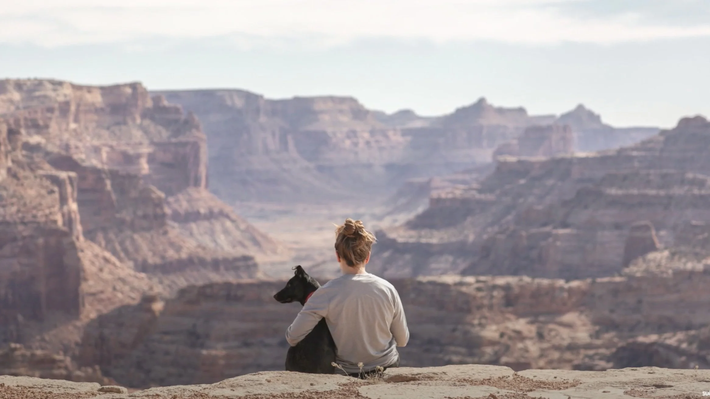 Celebrate Earth Day 2020 Outdoors with Your Pets | Chewy