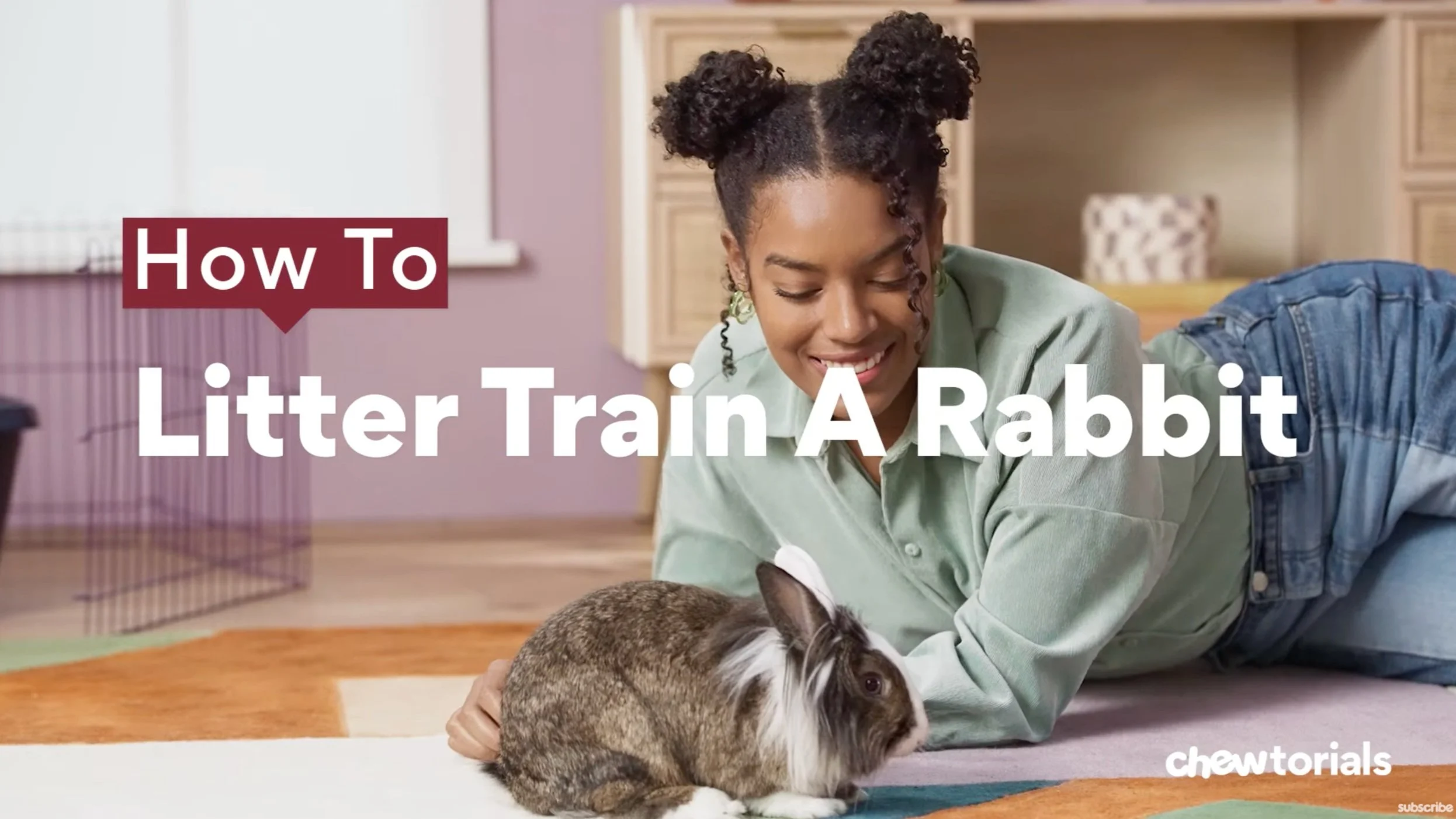 How To Litter Train a Rabbit | Chewtorials