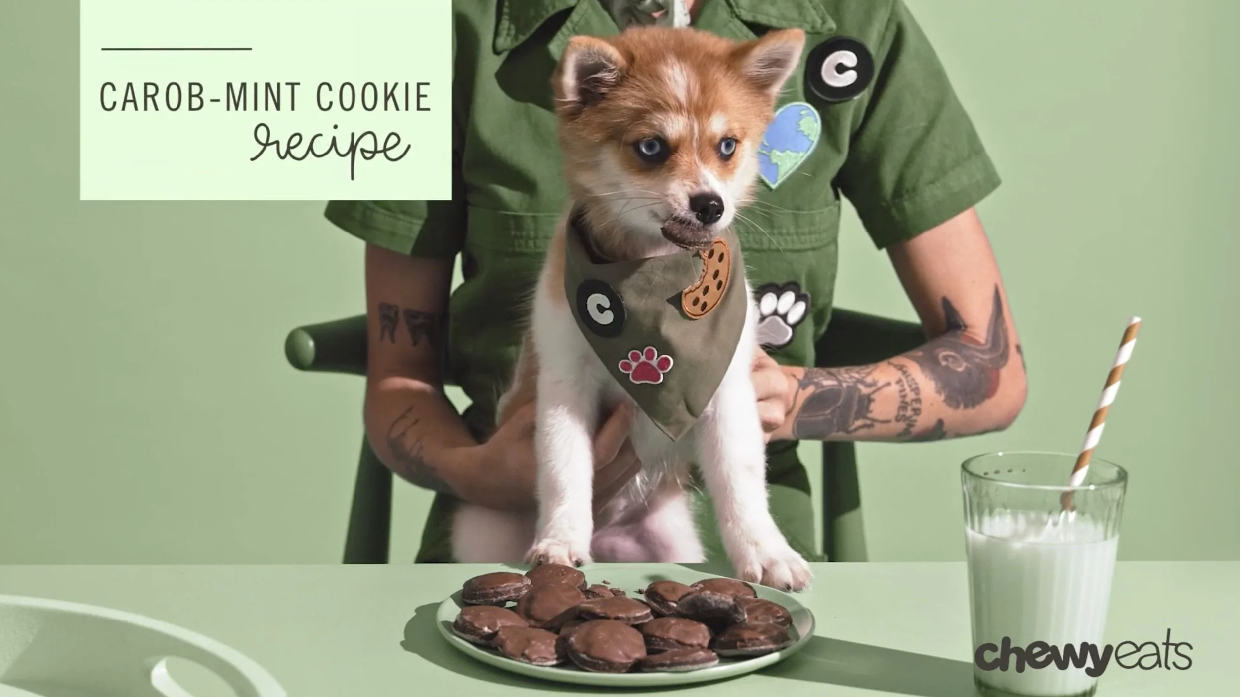 DIY Carob-Mint Cookies for Dogs | Chewy Eats