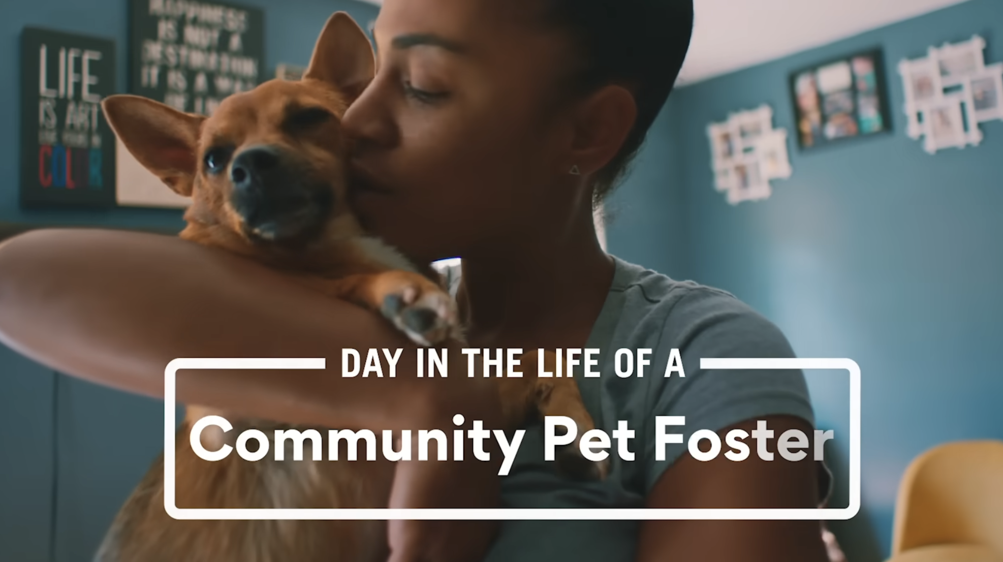 Screenshot 2026-02-25 at 8.10.55 PM.png