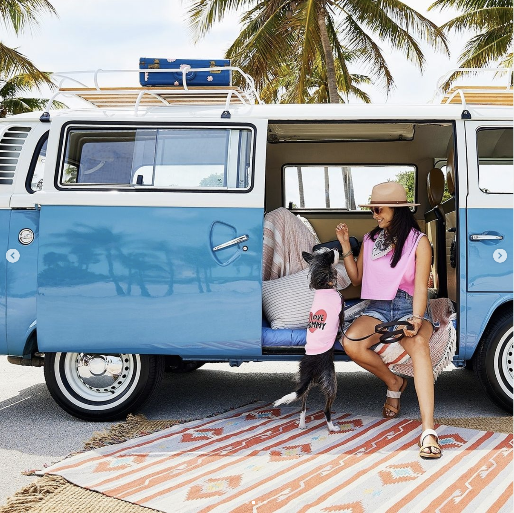 Screen Shot 2022-01-18 at 3.52.29 PM.png