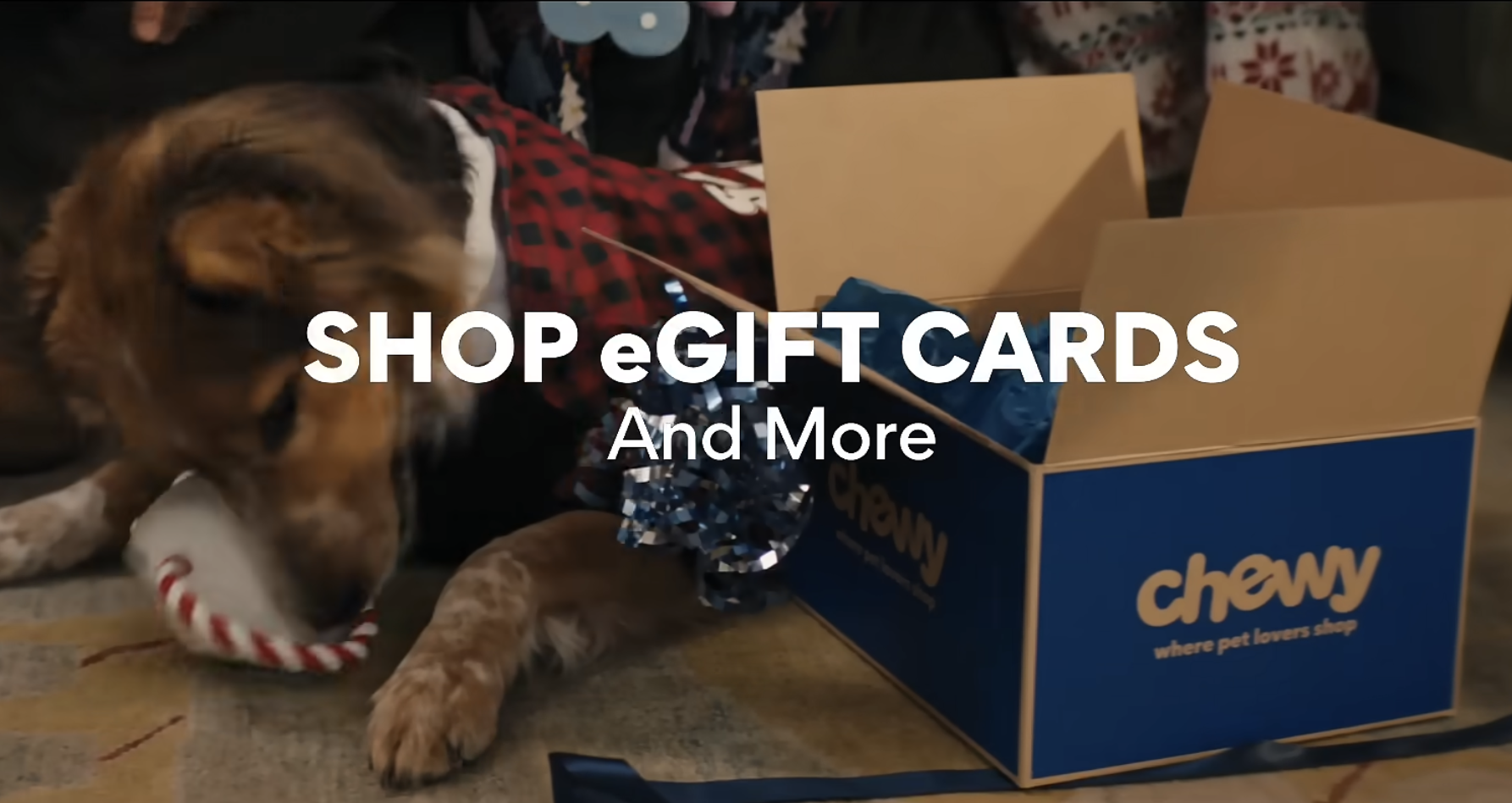 Screenshot 2026-02-25 at 7.35.56 PM.png