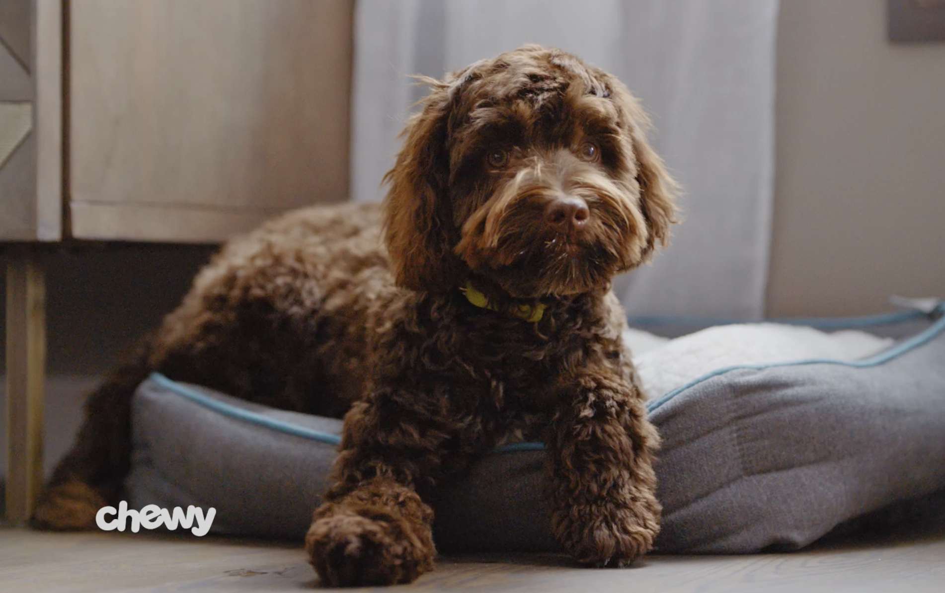 Screenshot 2026-02-25 at 7.45.01 PM.png