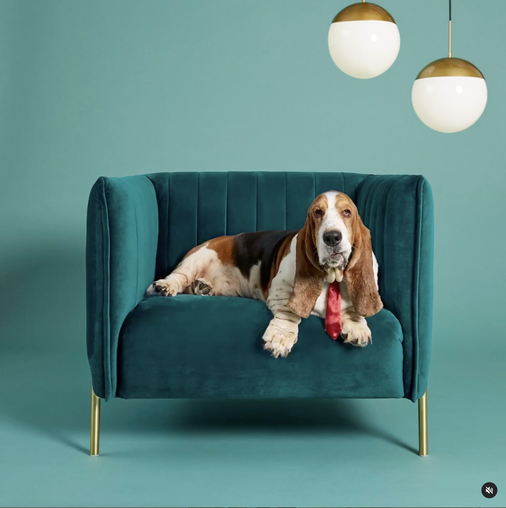 Screen Shot 2022-01-18 at 3.51.31 PM.png