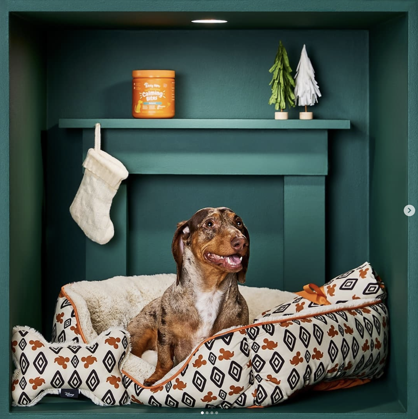 Screen Shot 2022-01-18 at 3.48.42 PM.png