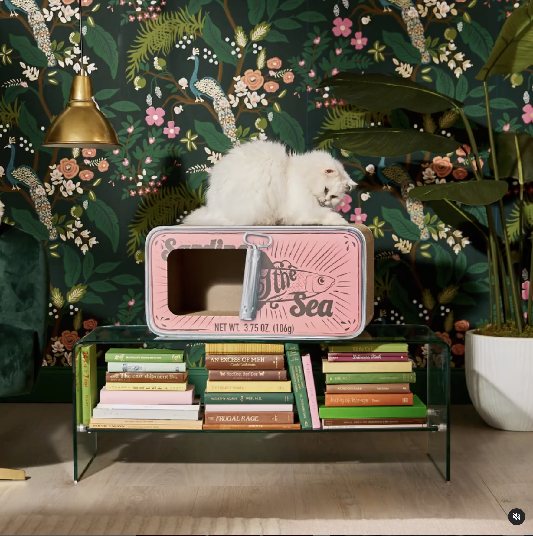 Screen Shot 2022-01-18 at 3.53.23 PM.png