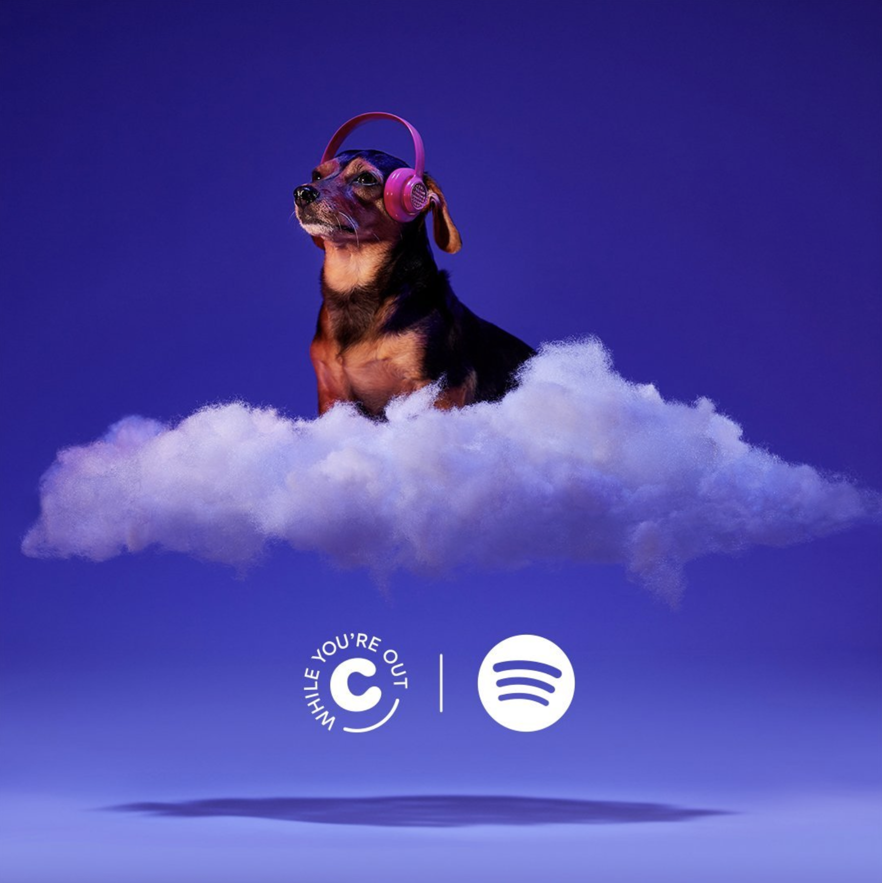 Screen Shot 2022-01-18 at 3.51.01 PM.png