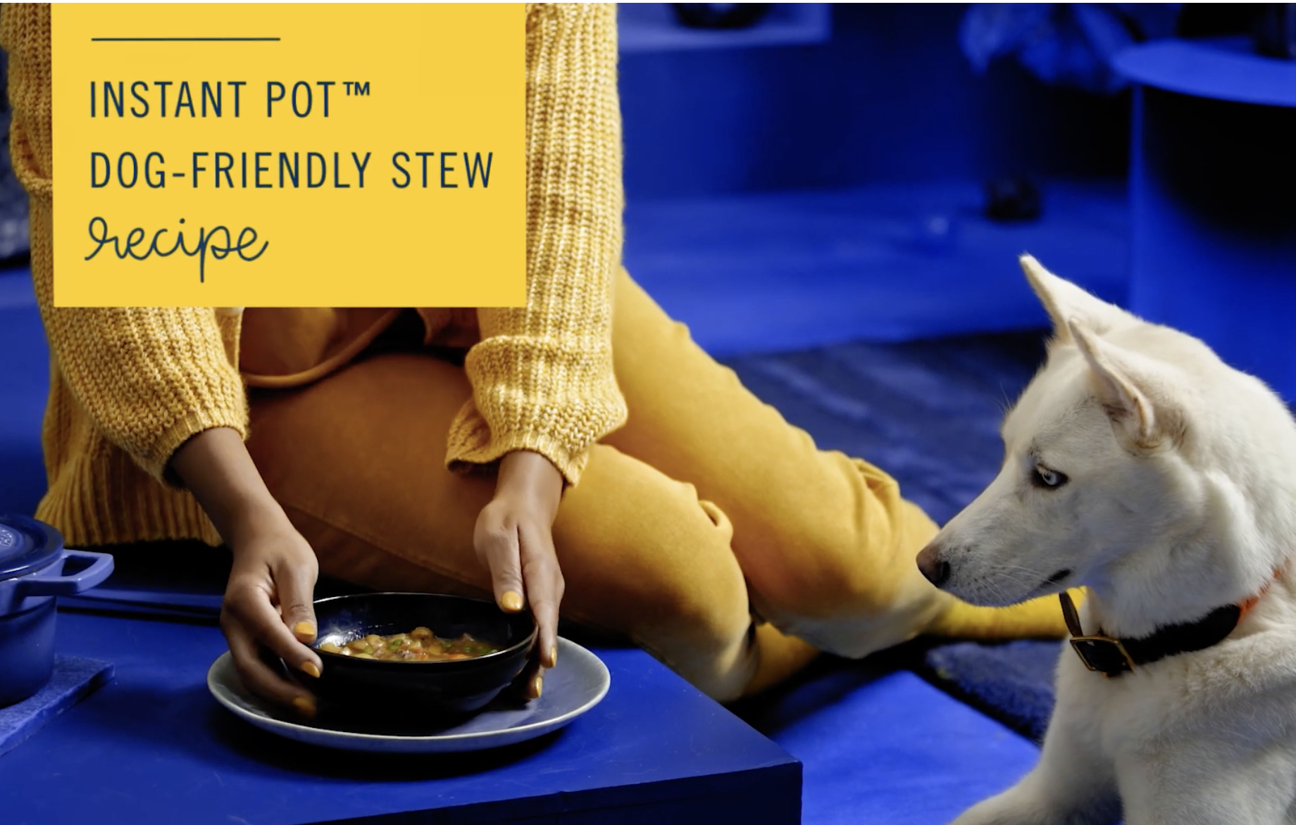 Screenshot 2026-02-25 at 7.51.32 PM.png