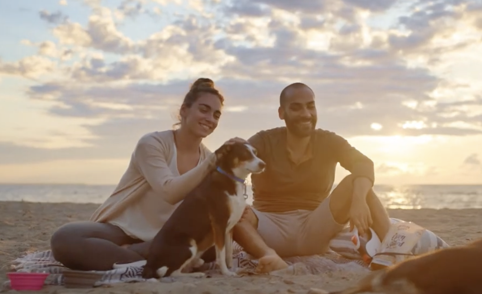 Screenshot 2026-02-25 at 7.46.36 PM.png