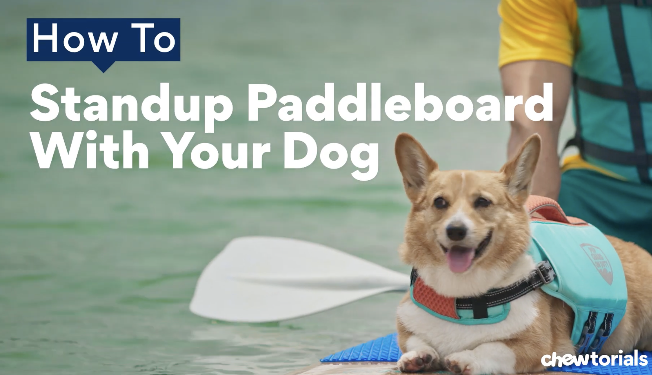 Screenshot 2026-02-25 at 8.04.39 PM.png