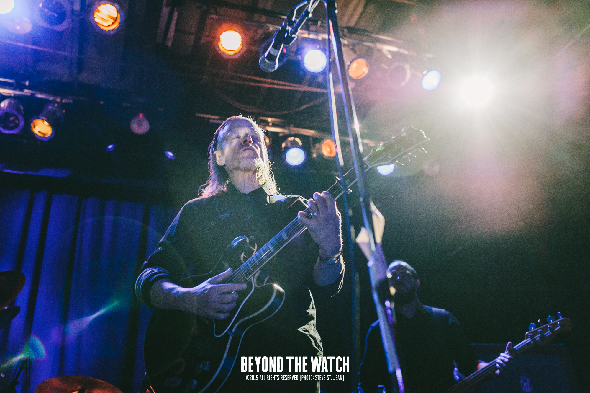 Swans-2.jpg