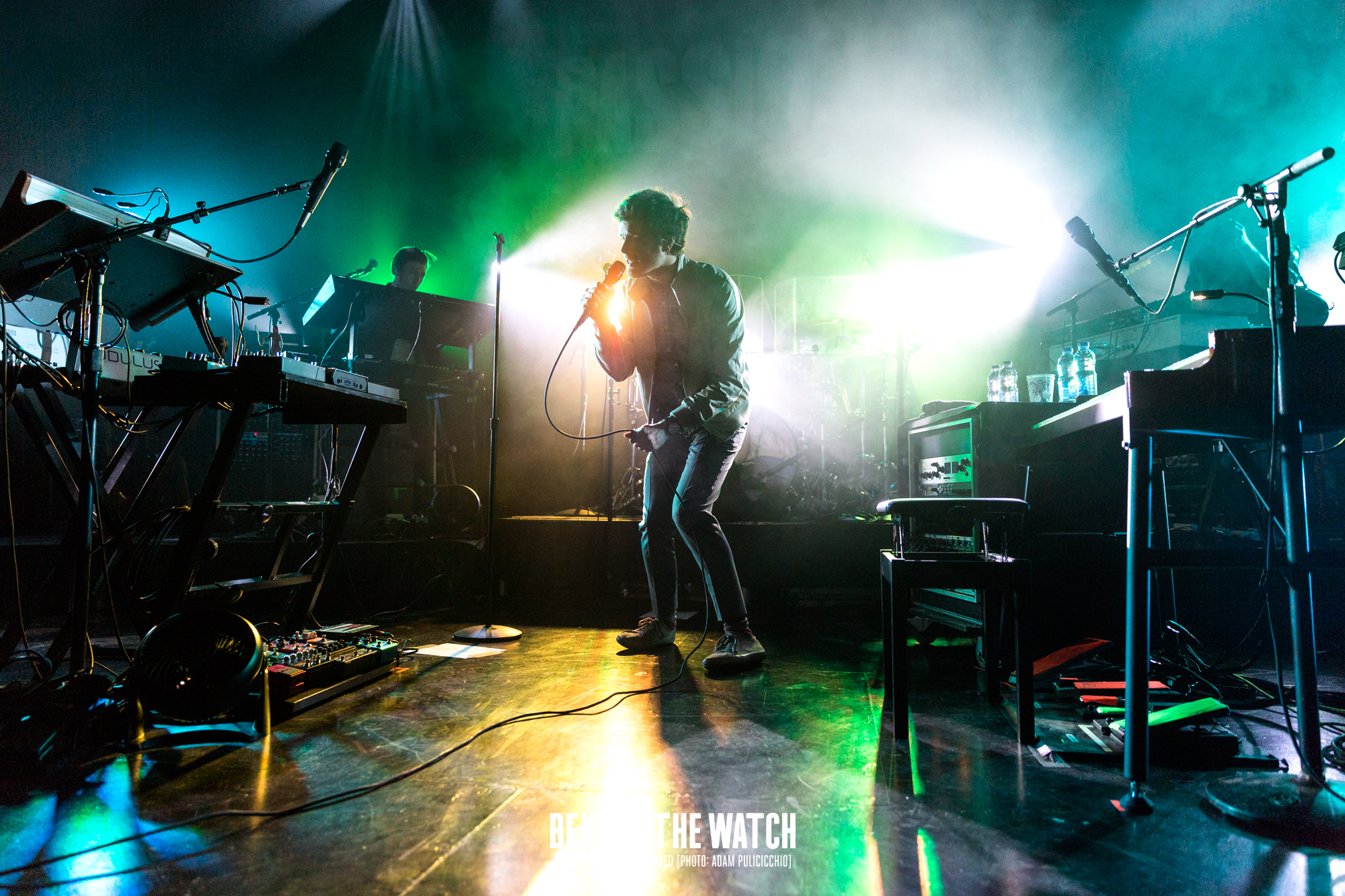 © Adam Pulicicchio-April 29th 2015-Passion Pit-12.jpg