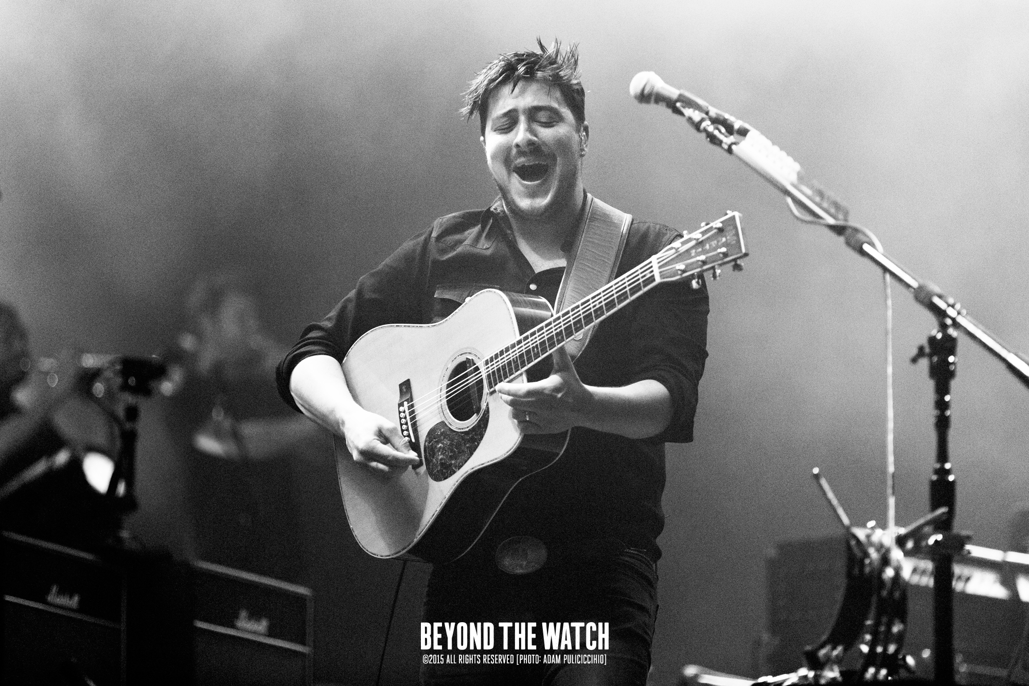 Adam Pulicicchio-June 15th 2015-Mumford And Sons-05.jpg