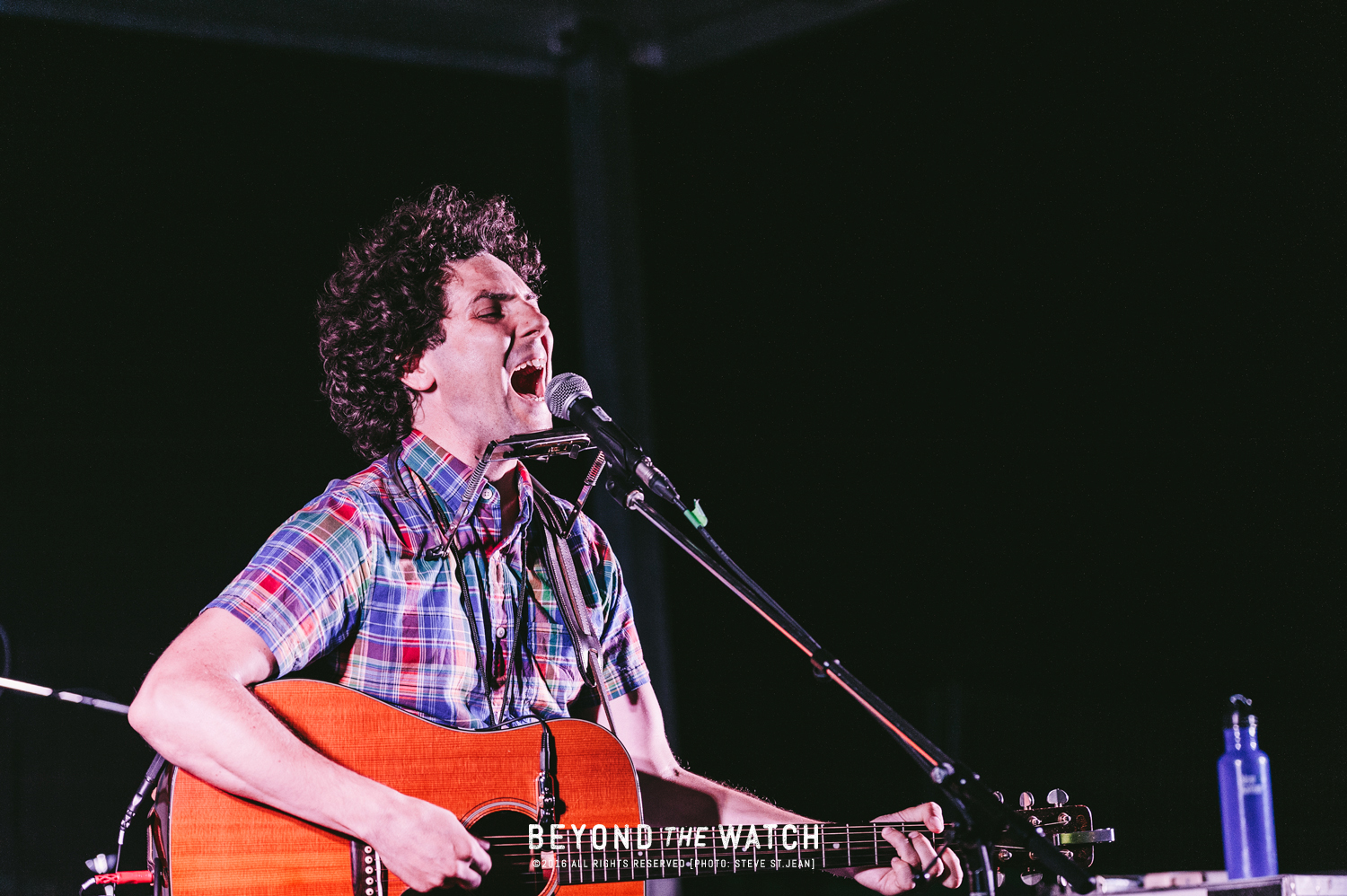 JeremyFisher-6.jpg