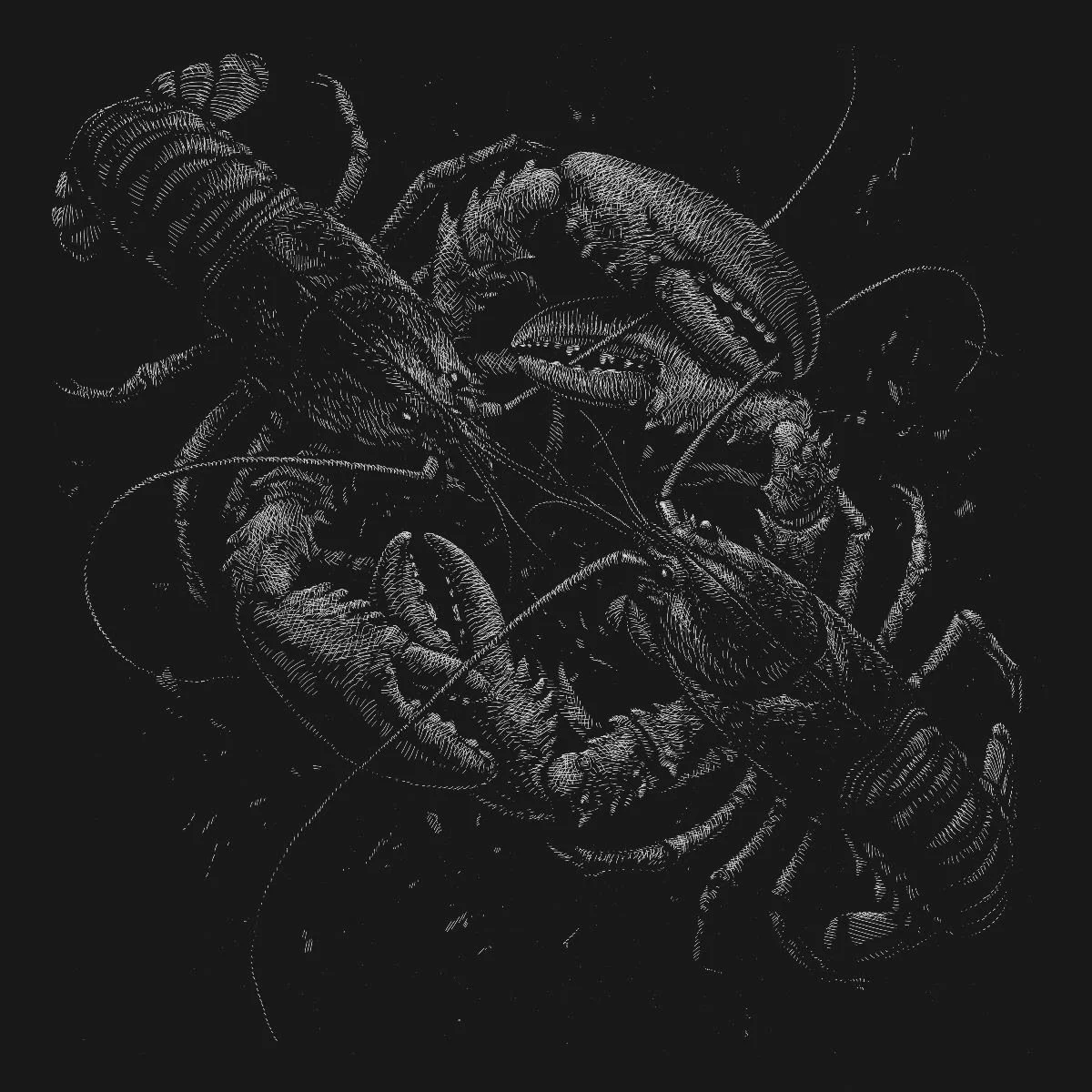 Listen to “Belligerence” by The Ocean