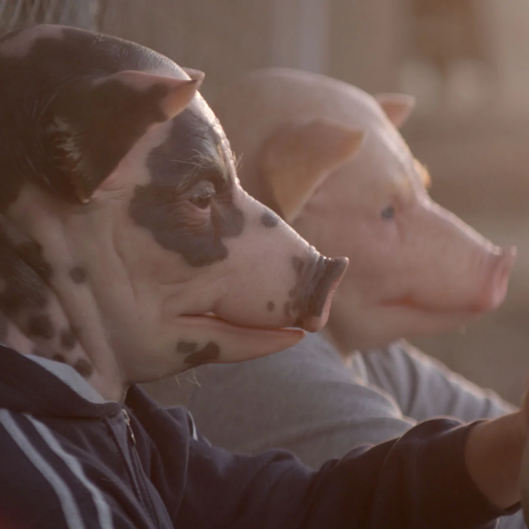 Wont Let You Down - Hilltop Hoods