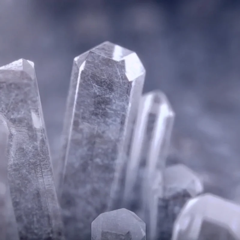 Winter Arts Season - Frost
